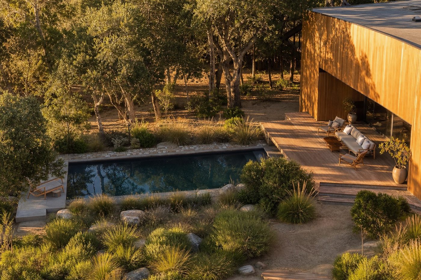 Native planting, dark water